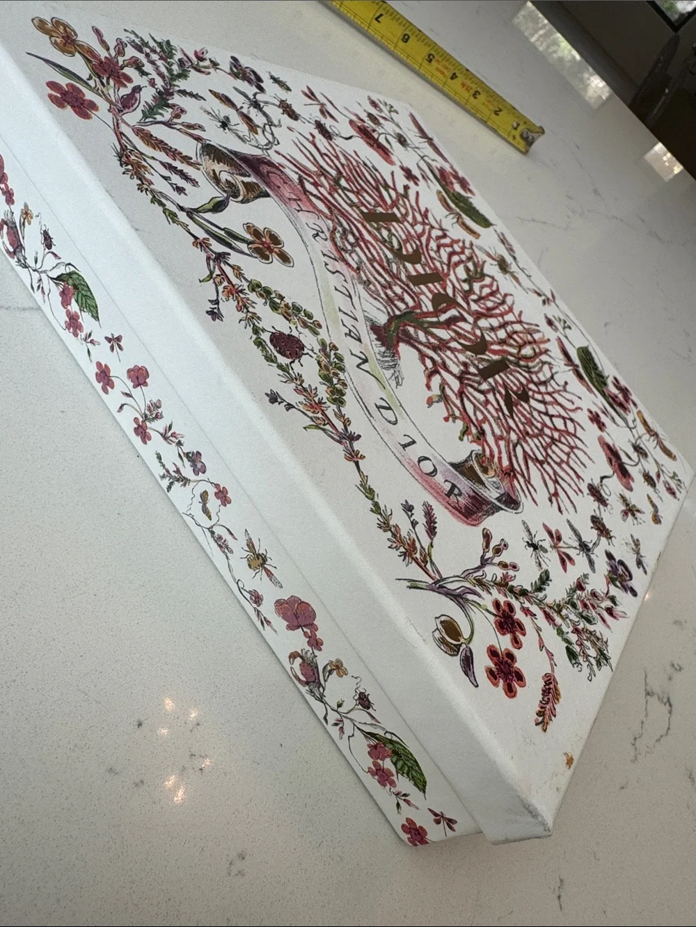Dior Scarf Box/tissue/ribbon RARE LIMITED EDITION “Cabinet of Curiosities”